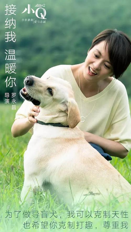 关于学位证的重要性